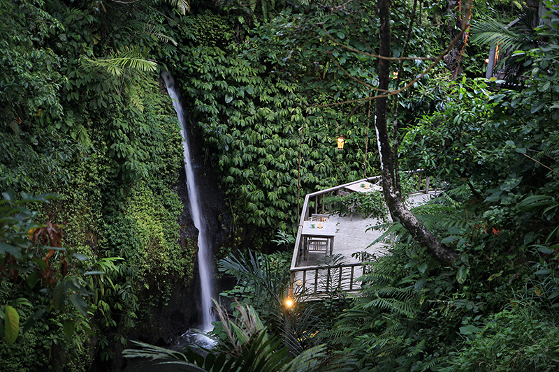 熱帯雨林に囲まれたザ カヨン リゾートの客室