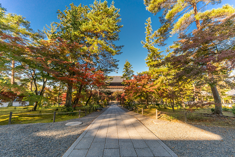 今年おすすめの日本の絶景紅葉名所８選 - 京都・永観堂禅林寺