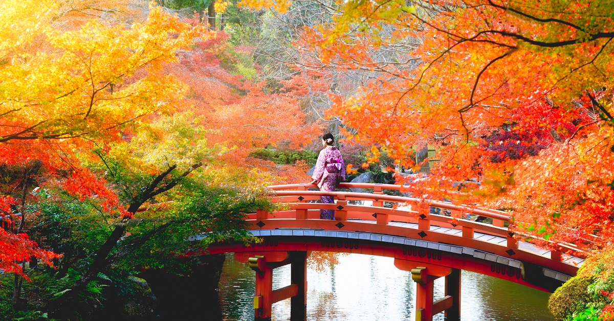 ２０１８年の紅葉最新情報：今年おすすめの日本の絶景紅葉名所８選