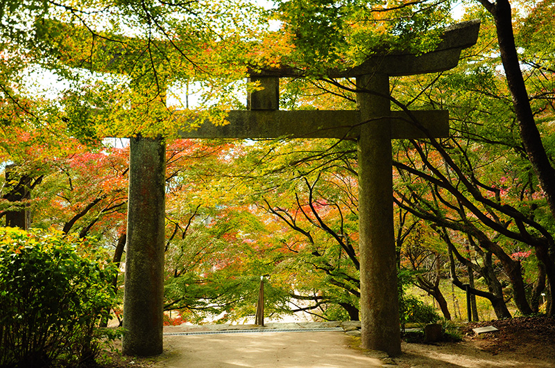 今年おすすめの日本の絶景紅葉名所８選 - 福岡県・熊野神社