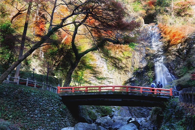 今年おすすめの日本の絶景紅葉名所８選 - 大阪・明治の森箕面国定公園