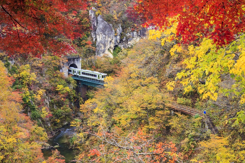 今年おすすめの日本の絶景紅葉名所８選 - 青森県・奥入瀬渓流