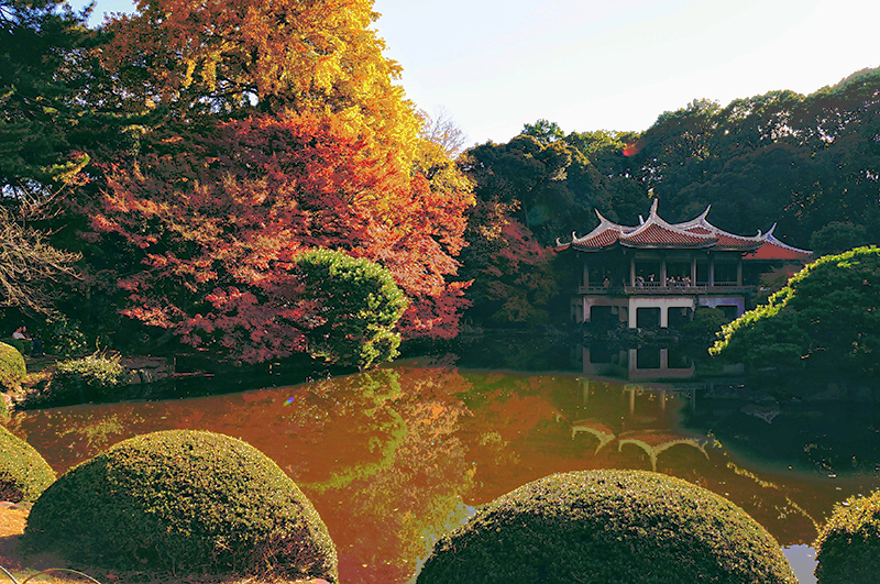 今年おすすめの日本の絶景紅葉名所８選 - 東京・新宿御苑