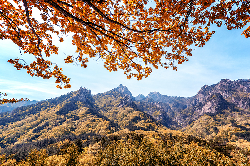 この秋絶対に訪れたい世界の紅葉名所１０選 - 雪岳山、韓国