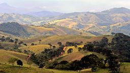 ミナスジェライス州行きの格安航空券を検索・比較