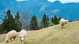 台湾行きの格安航空券 飛行機を検索 比較 12 308 Kayak カヤック
