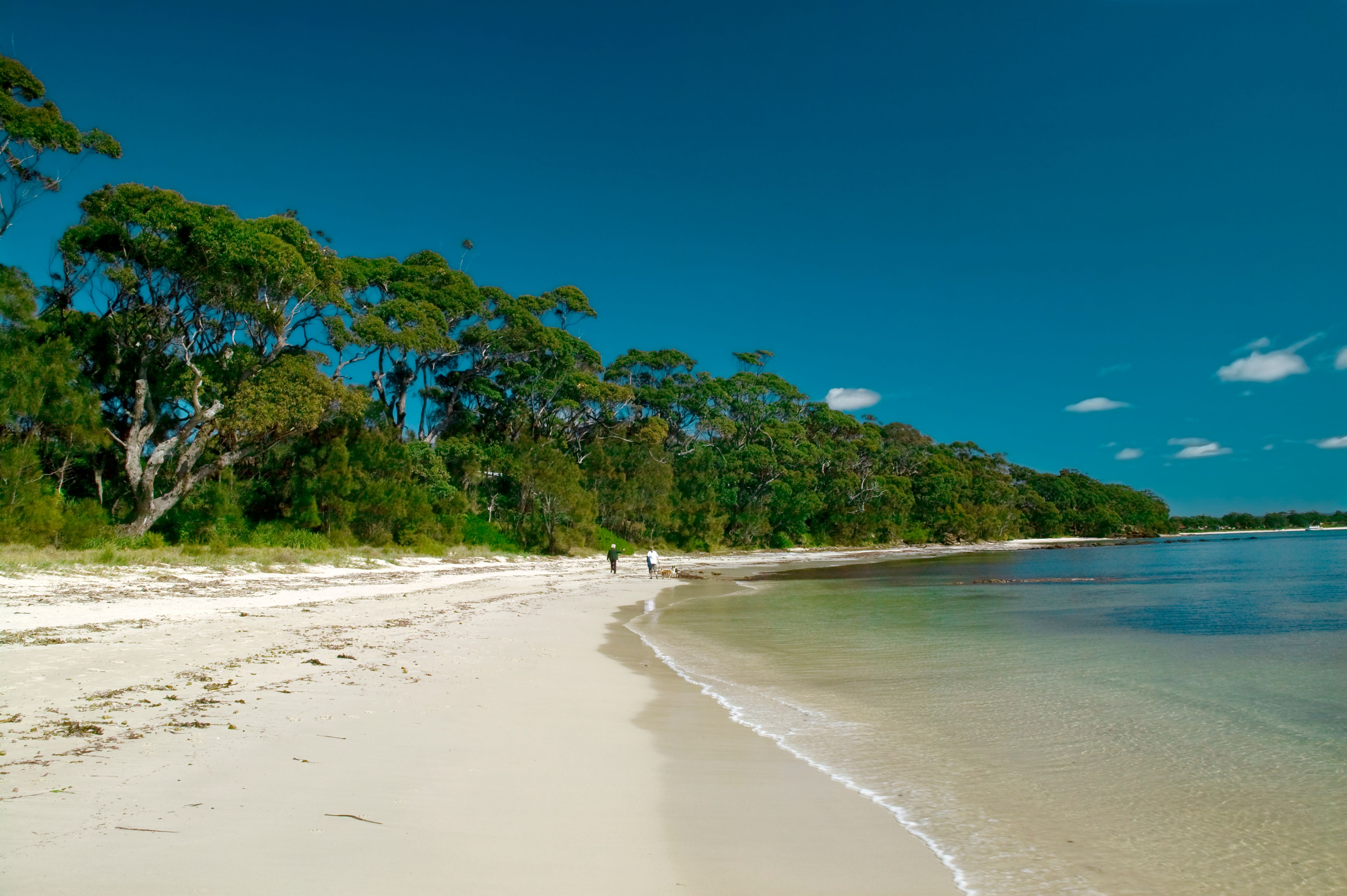 ジャービス湾のホテル検索 1泊 8 469 人気ホテルの料金比較 格安予約 Kayak カヤック