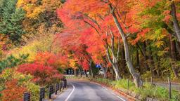 富士吉田市のホテル