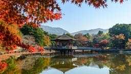 奈良市のホテル