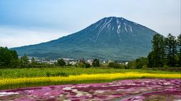 倶知安町のホテル