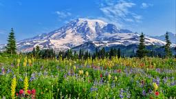 Mount Rainier National Parkのバケーションレンタル