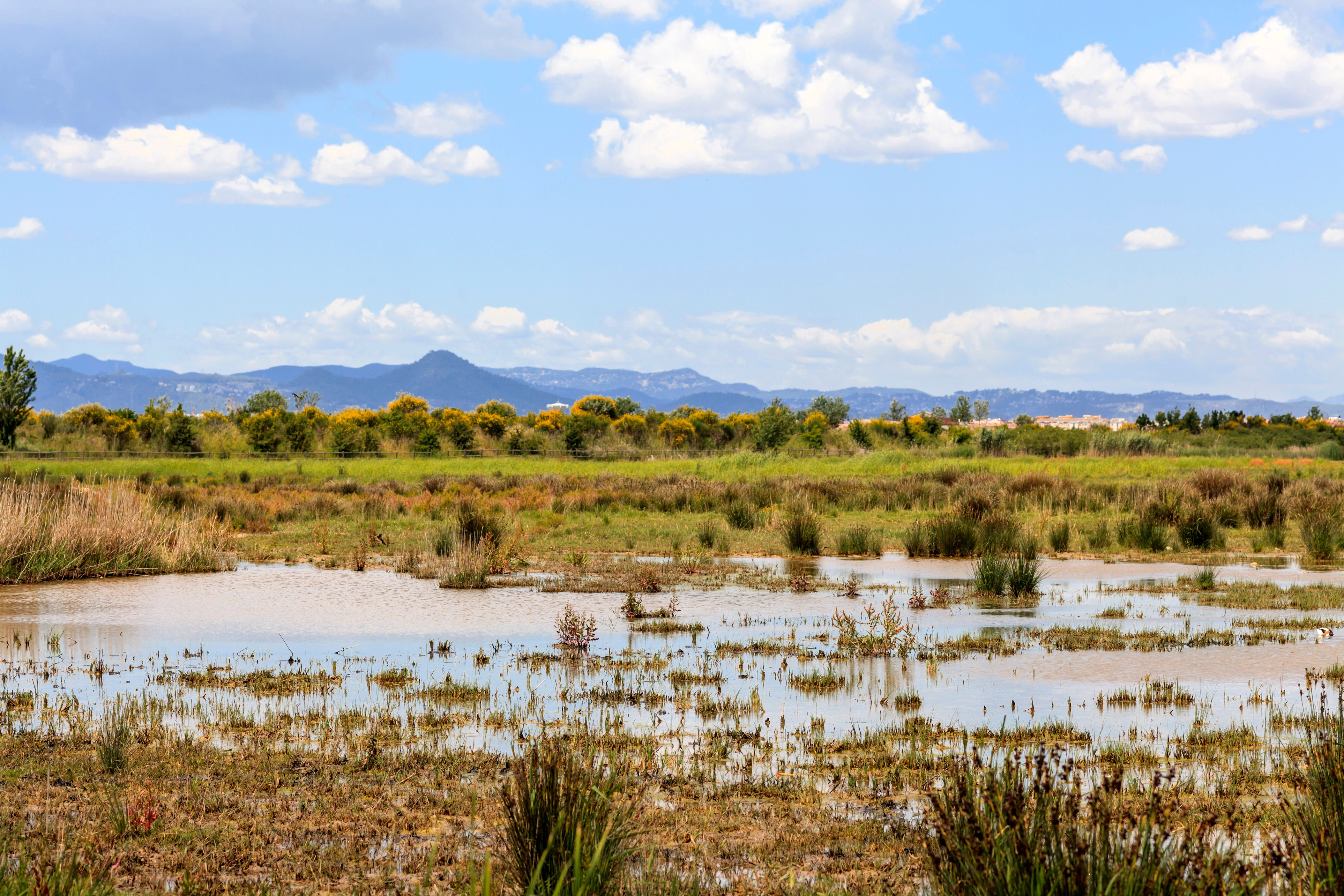 アル・プラ・デ・リョブレガートのレンタカー
