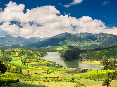 タミル ナードゥ州のホテル検索 1泊 56 人気ホテルの料金比較 格安予約 Kayak カヤック