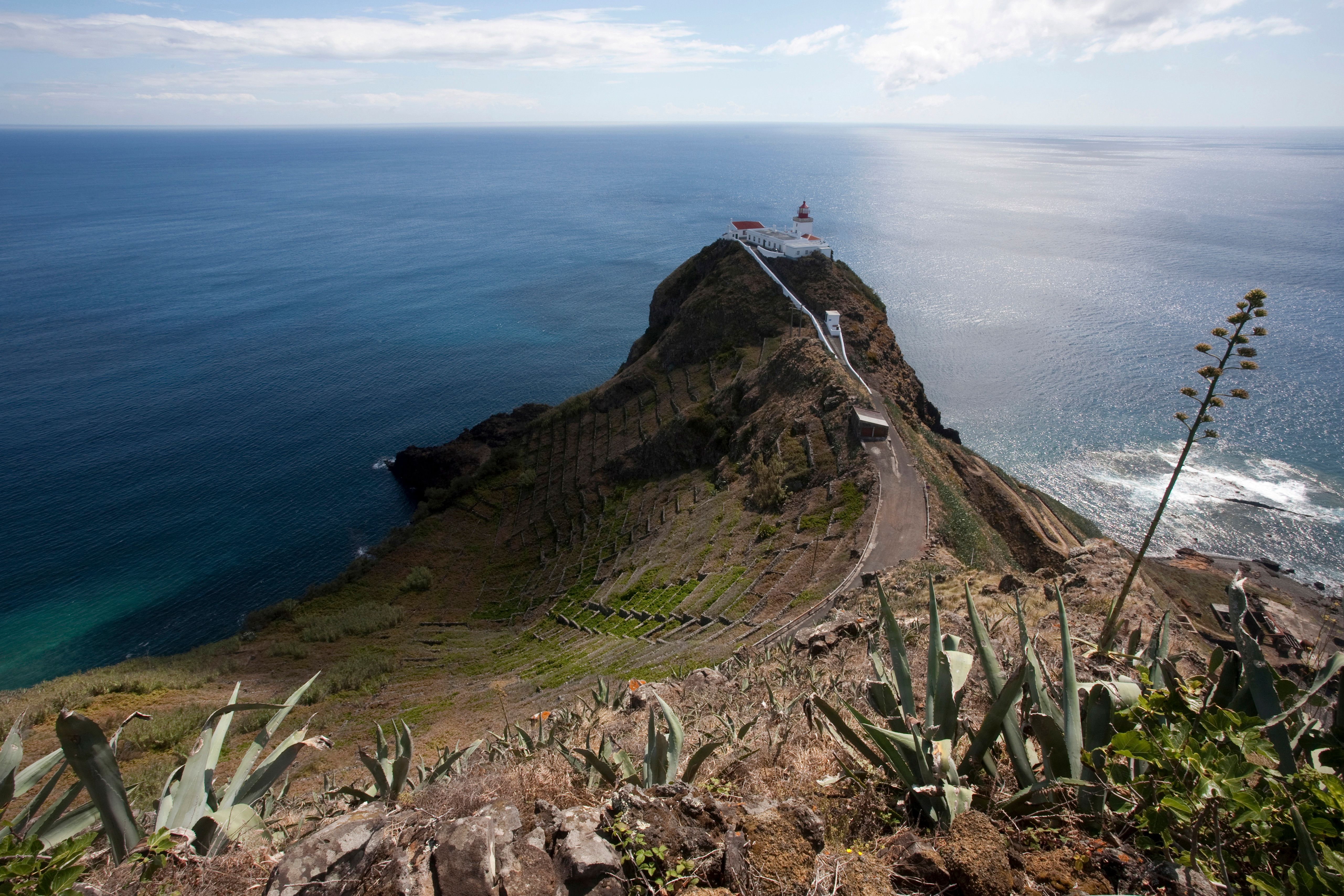 マイアのレンタカー