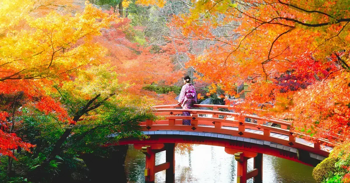 ２０１８年の紅葉最新情報：今年おすすめの日本の絶景紅葉名所８選
