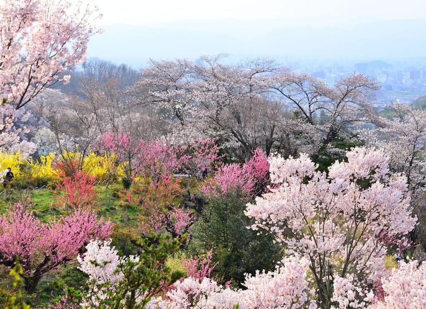屋外の景色 写真