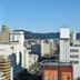 屋外の景色