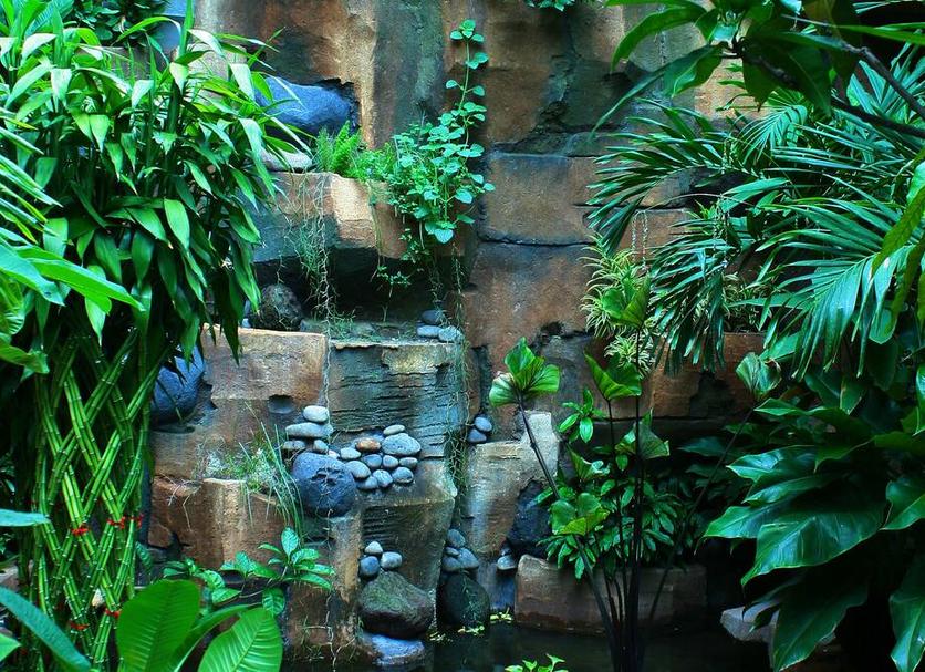 屋外の景色 写真