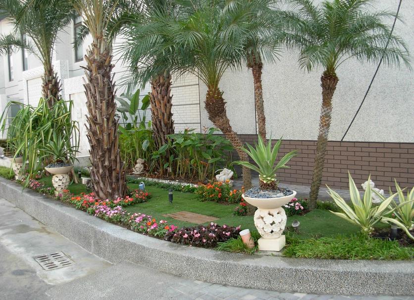 屋外の景色 写真