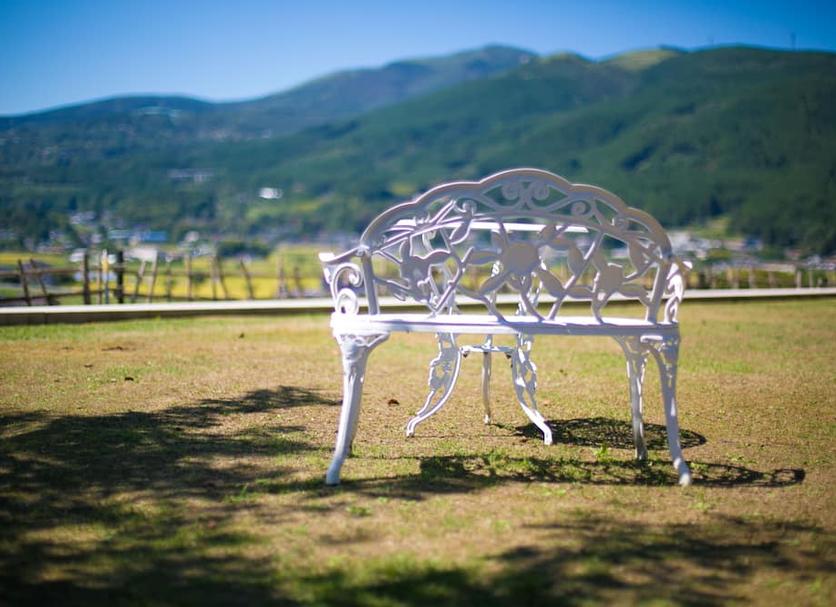 その他 写真