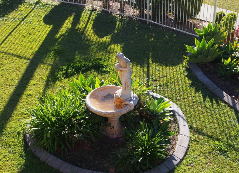 屋外の景色 写真