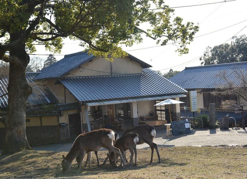 建物 写真