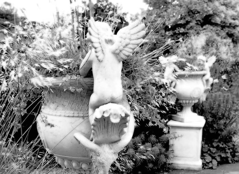 建物 写真