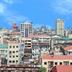 屋外の景色