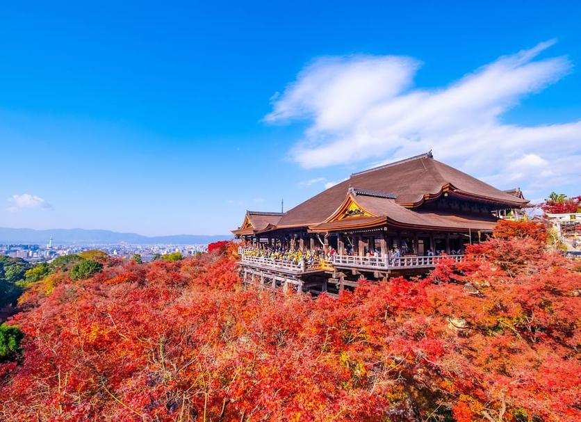 アトラクション 写真