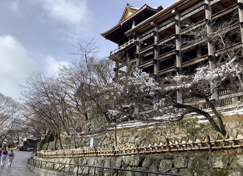 屋外の景色 写真