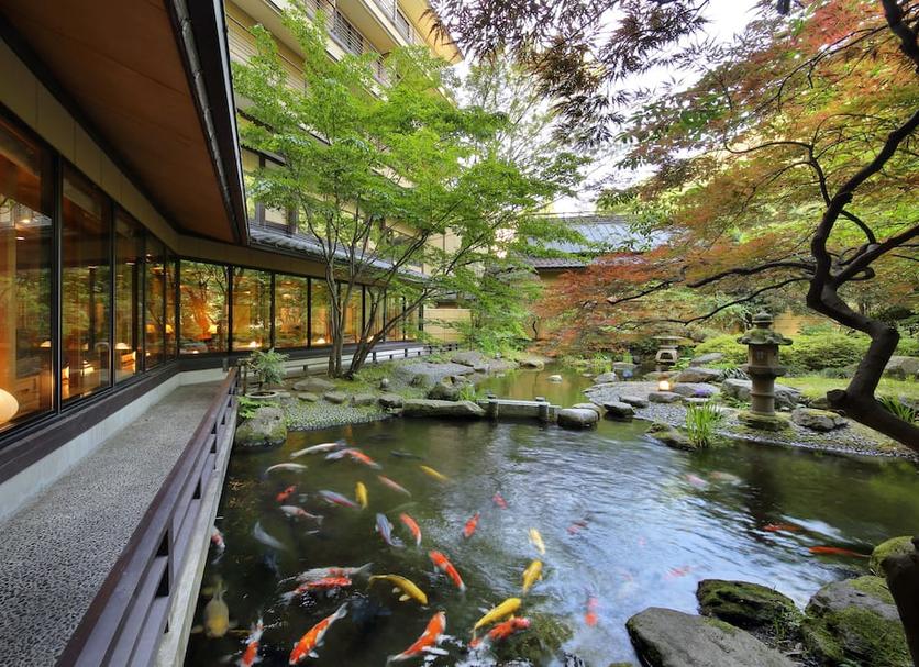 屋外の景色 写真