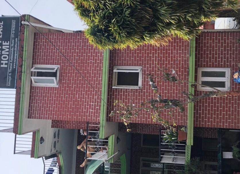 屋外の景色 写真