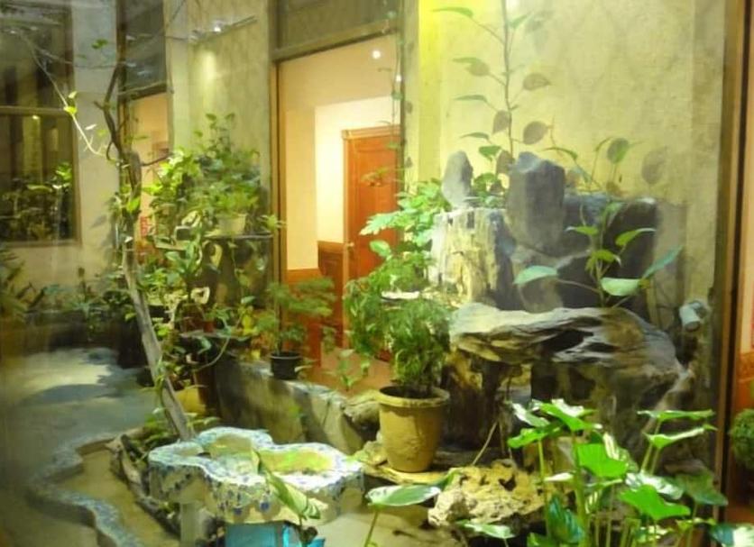 屋外の景色 写真
