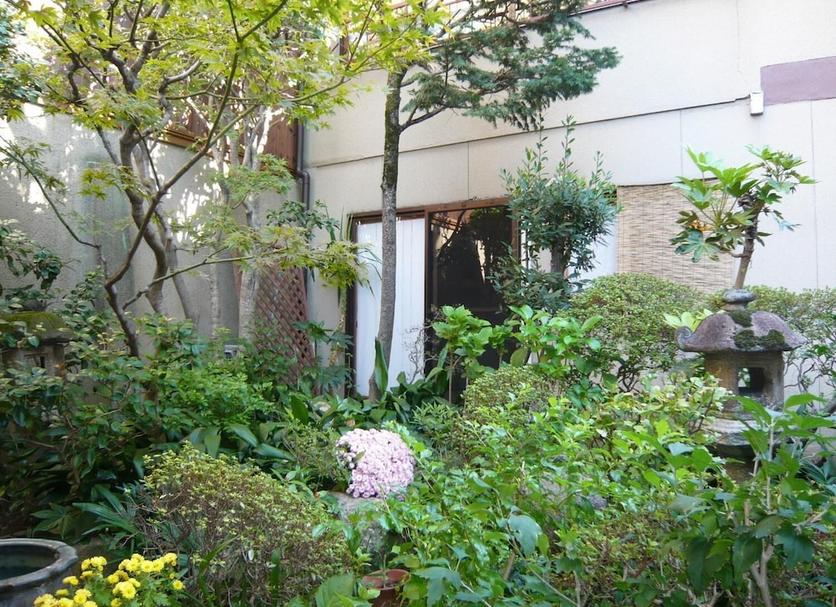 屋外の景色 写真