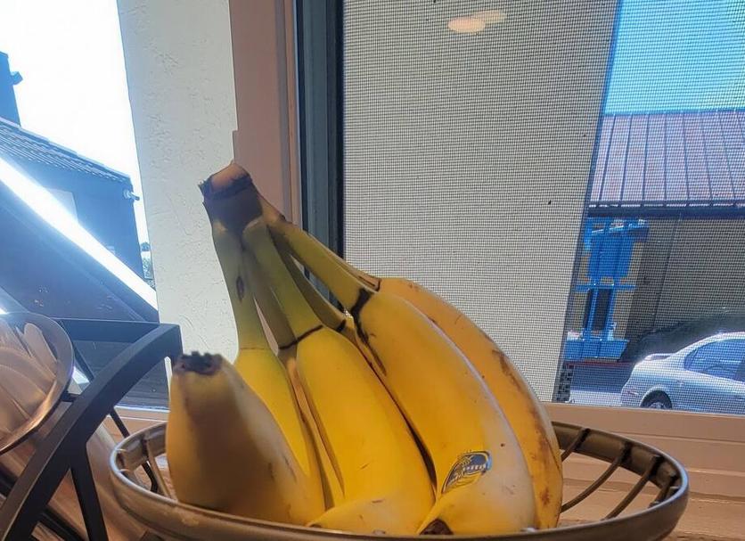 その他 写真