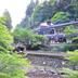 屋外の景色
