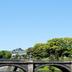 屋外の景色