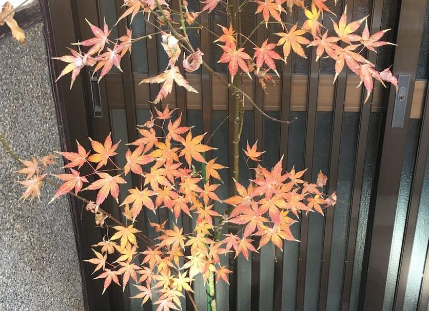 客室の設備 写真