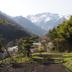 屋外の景色