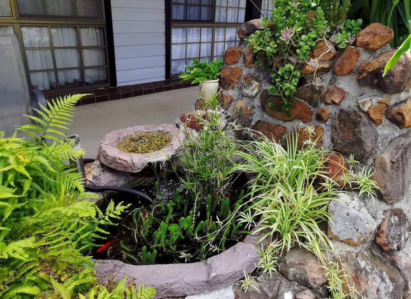 屋外の景色 写真
