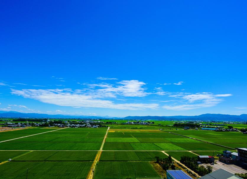 屋外の景色 写真