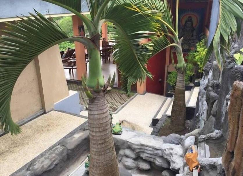屋外の景色 写真
