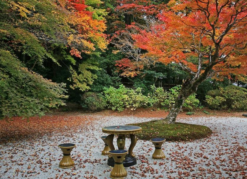 屋外の景色 写真