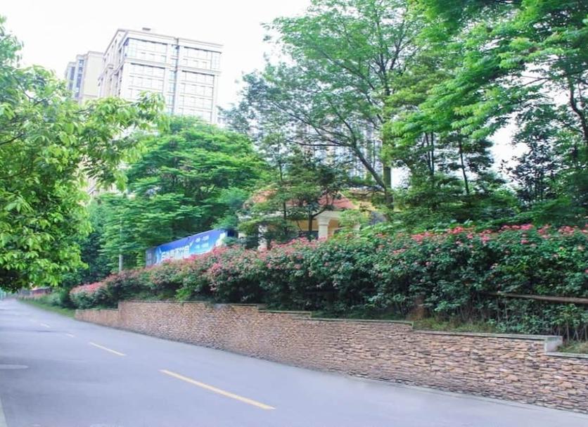 屋外の景色 写真