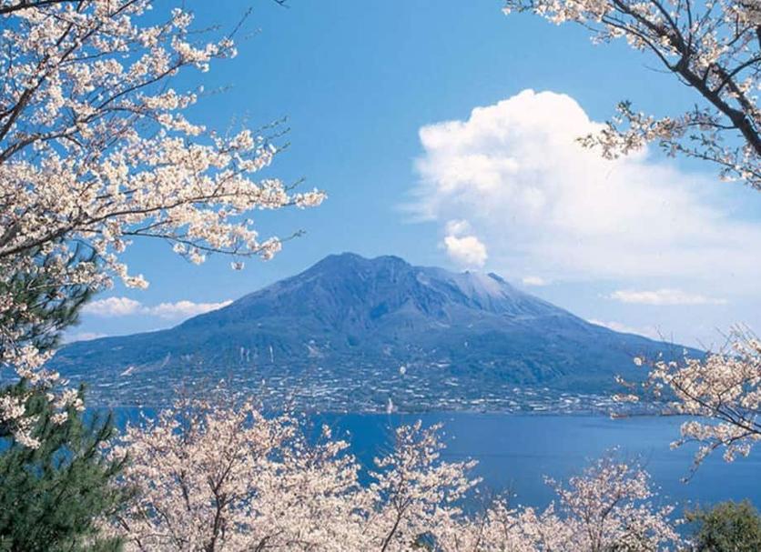 屋外の景色 写真