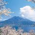 屋外の景色