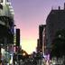 屋外の景色