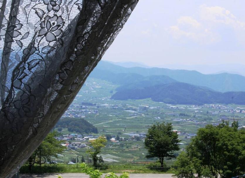 屋外の景色 写真