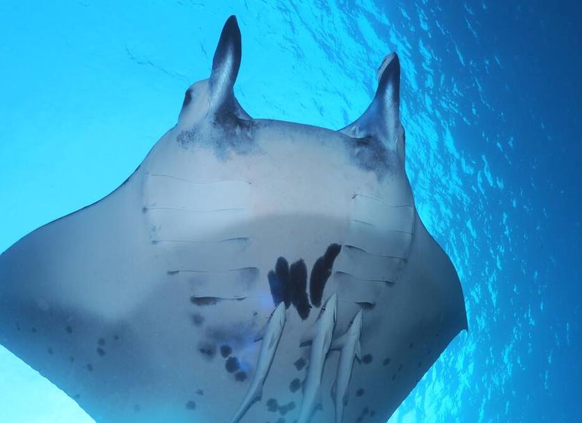 その他 写真