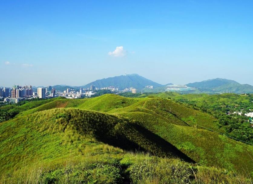 屋外の景色 写真